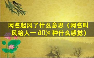 网名起风了什么意思（网名叫风给人一 🦢 种什么感觉）